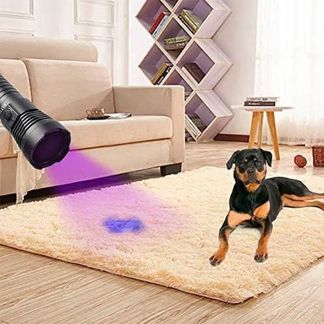 Alt view image 5 of 7 - U3S UV Flashlight Rechargeable 365nm Black Light Torch with ZWB2 Filter, Blacklight 10W Ultraviolet LED Lamp with Micro USB Charging Cable