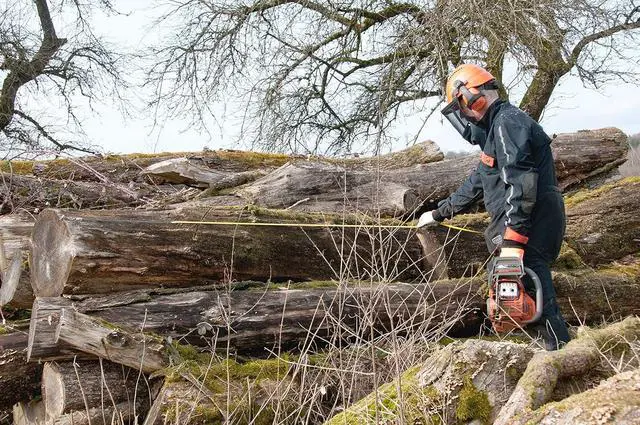 Alt view image 4 of 6 - 106512 Logger Tape 66.6 ft (20 m)