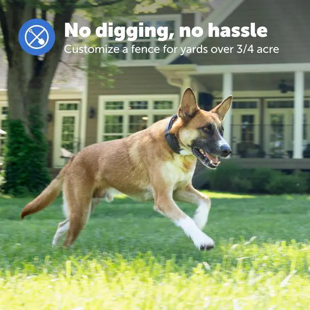 Alt view image 5 of 7 - Guardian GPS Dog Fence  No Subscription  Create Your Own Wireless Fence for Dogs  for Yards 3/4 Acres or Larr  World's Safest GPS Dog Fence Tech  New, Redesigned Collar