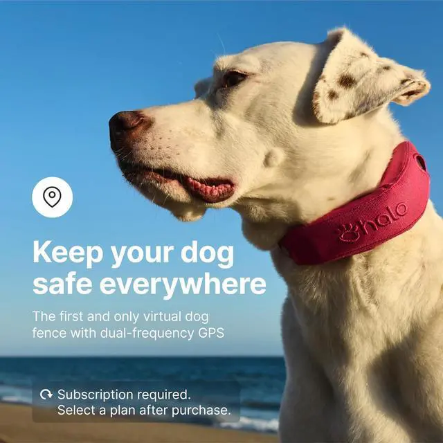 Alt view image 4 of 5 - Collar 4, All New GPS Wireless Dog Fence & Dog Training Collar with GPS Tracker, Subscription Required, Waterproof, One Size, Midnight