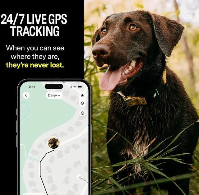 Alt view image 2 of 7 - Series 3 Smart Dog Collar - GPS Dog Tracker and Activity & Health Monitor, Waterproof, LED Light, Escape Alerts, Nationwide Covera [Free 1 Year Membership] (Pink, Medium)