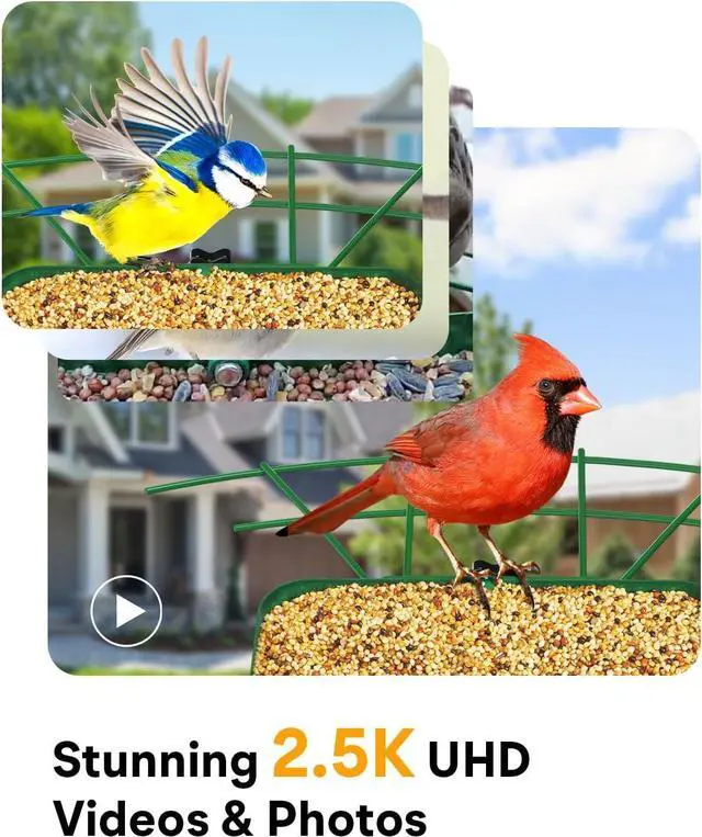 Alt view image 3 of 7 - Metal Smart Bird Feeder with Camera  Solar Powered, AI Bird Identication & 2.5K HD Auto Capture Videos, Arrival Notications, 2.1L Capacity & 100% Durable Design