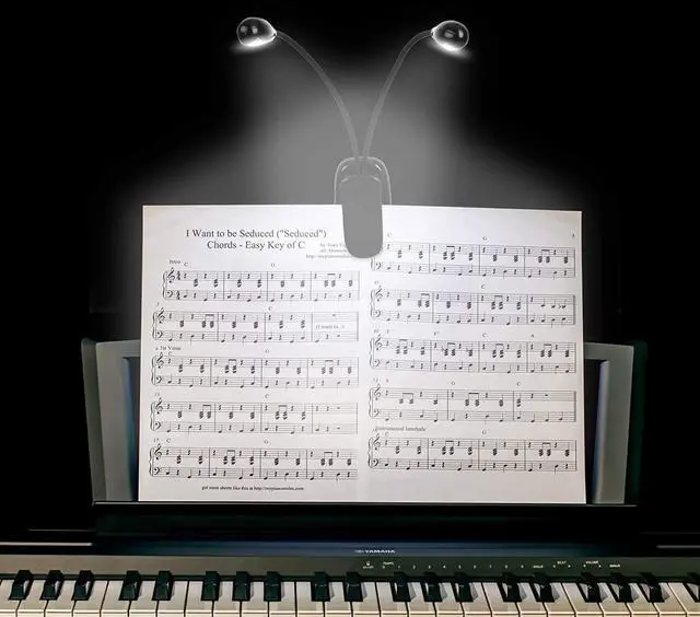 Alt view image 2 of 7 - 10 Pack Music Stand Lights - Musician Piano Light Clip On, USB & AAA Battery Powered, Eye Care Portable, LED Book Reading Lamp, 4 Brightness, Ideal for Orchestra, Sheet Music, Guitar (Dual Arm) by DT