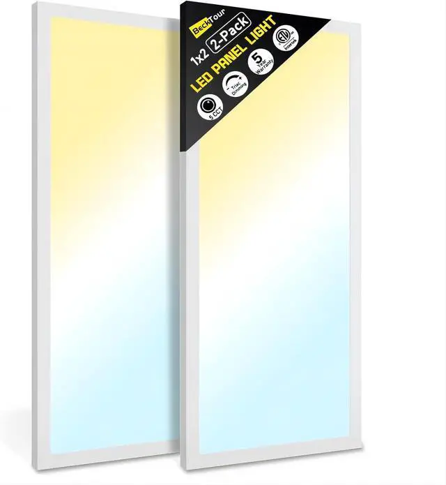 Main image of 1x2 LED Flat Panel Surface Mount 2-Pack, Dimmable 24W 2880LM Ceiling Light with 5CCT (3000K-6000K), Ideal for Office, Home, Garage by DT