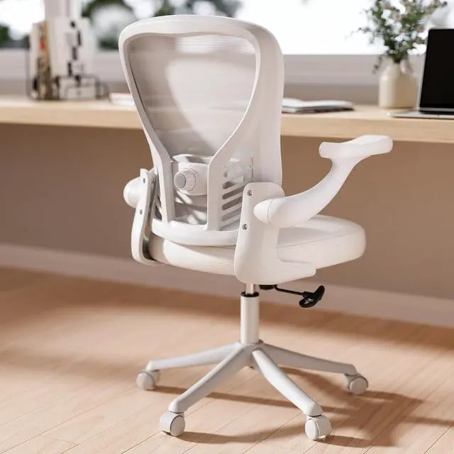 Main image of Computer Desk Chair, Ergonomic Office Desk Chairs with Mesh Back, Adjustable Lumbar Support, Height, 3D Flip-up Arms, Wheels, Rocking Function (All White)