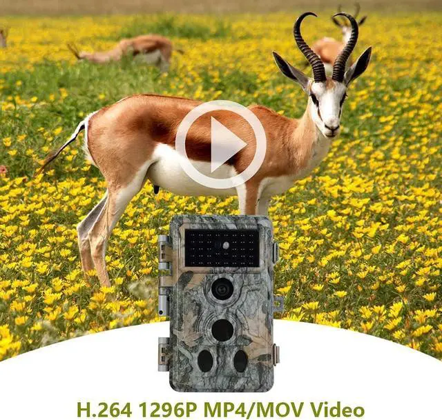 Alt view image 6 of 7 - 2-Pack Trail Camera 64MP 1296P H.264 MP4 Video No Glow 90ft Night Vision 0.1S Trigger Speed Motion Activated Waterproof IP66 Game Cam for Wildlife Hunting or Home Surveillance