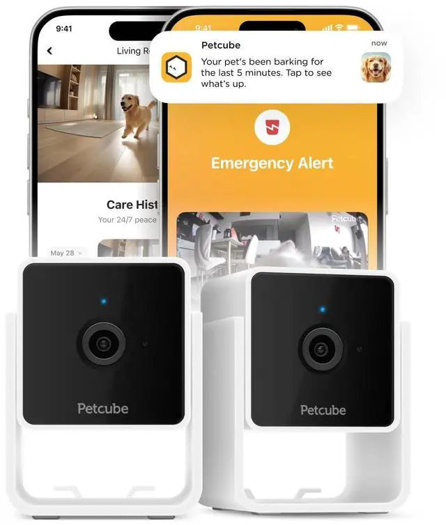 Main image of Petcube Cam Indoor Home Security Camera with 1080p HD Video, Two-Way Audio, Motion Detection, and Phone App, Night Vision Wi-Fi Camera for Apartment Security, Video Baby Monitor, Pet Camera (2pack)