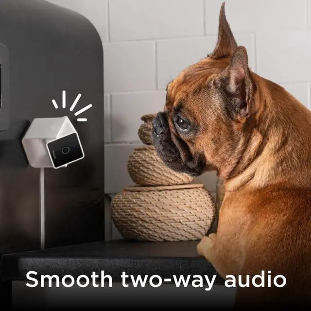 Alt view image 3 of 5 - Petcube Cam Indoor Home Security Camera with 1080p HD Video, Two-Way Audio, Motion Detection, and Phone App, Night Vision Wi-Fi Camera for Apartment Security, Video Baby Monitor, Pet Camera (2pack)