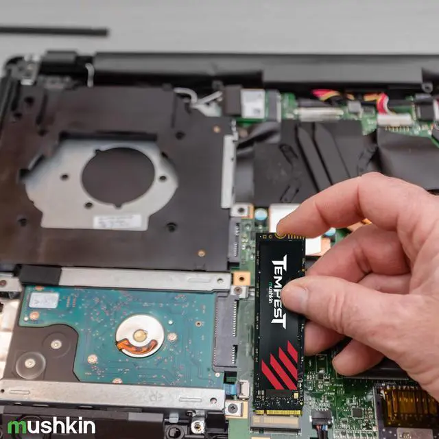 Alt view image 5 of 5 - Mushkin Tempest  2TB PCIe Gen3 x4 NVMe 1.4  M.2 (2280) Internal Solid State Drive (SSD)  3D NAND Flash - (MKNSSDTS2TB-D8)