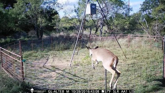 Alt view image 5 of 5 - Spartan GoLive Next Generation Cellular Scouting Camera with Steel Security Box (Verizon 4G/LTE)