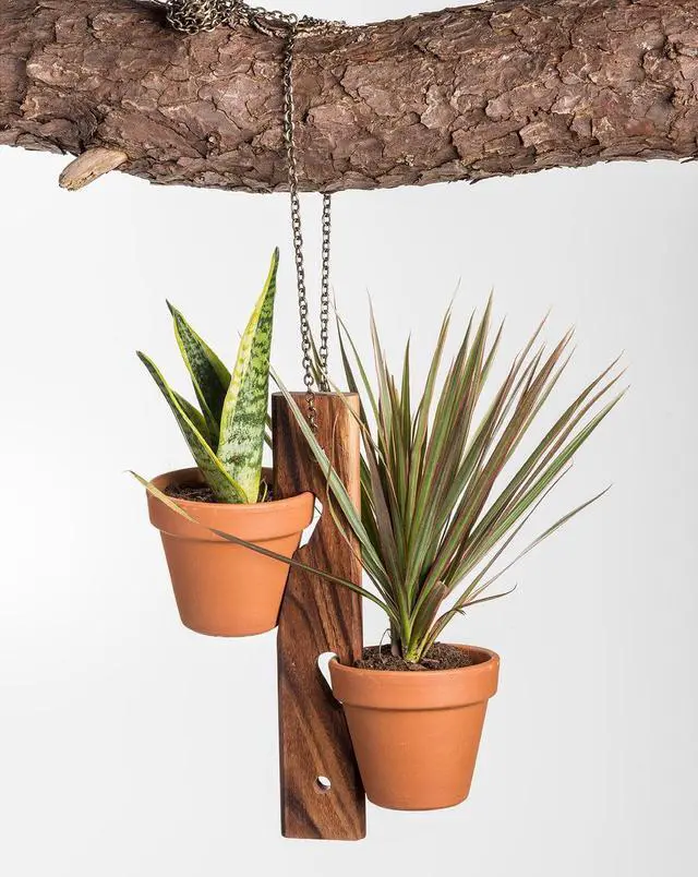 Alt view image 3 of 4 - Kalmar Home 2 Pot Hanging or Standing Plant Holder