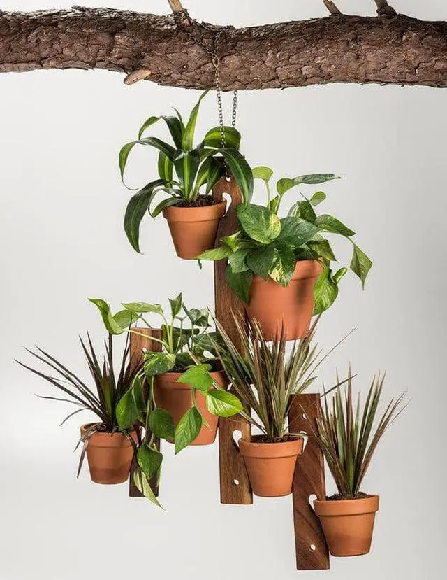 Main image of Kalmar Home 6 Pot Hanging Plant Holder - 3 piece set