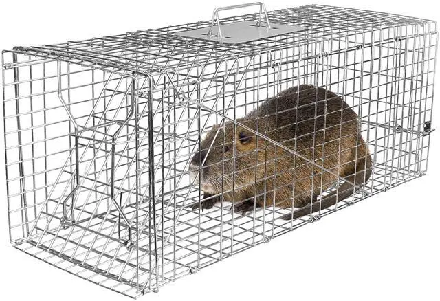 Main image of Fresh Fab Finds Humane Cat Trap Cage Collapsible Galvanized Rodent Trap for Raccoons & More - Gray - One size