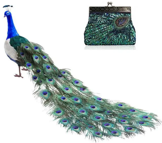 Main image of Vista Peacock Crazy Clutch Eye-catching Ensemble In 8 Colors - Pink