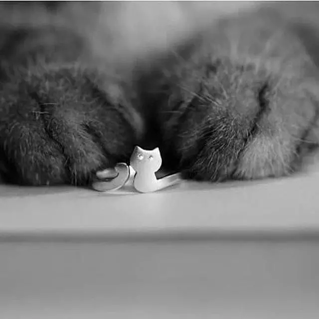 Main image of Vista My Cute Kitten Fashion Ring In 925 Brushed Sterling Silver - Silver