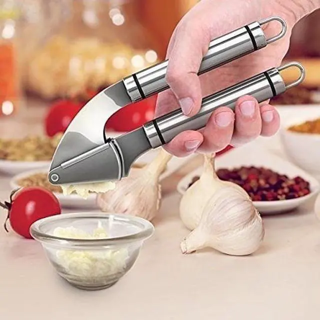 Main image of Vista Garlic Press PRO For Good Health - Silver