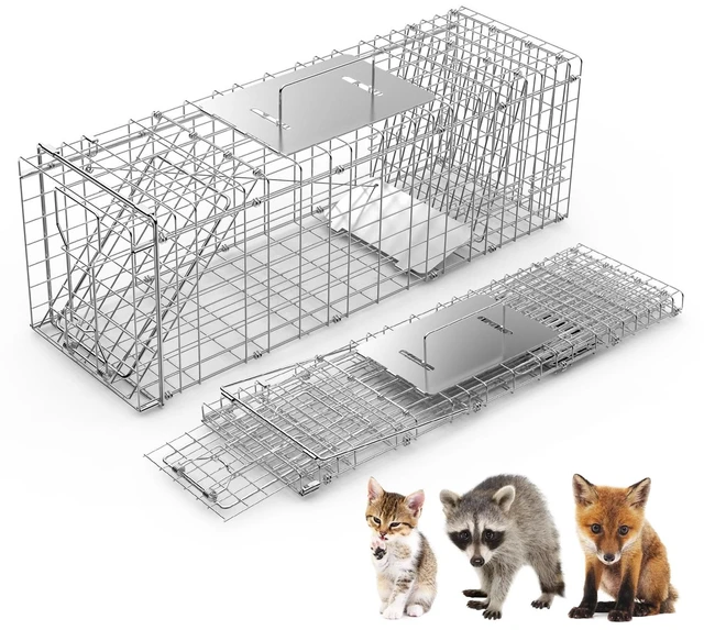 Main image of Fresh Fab Find 31x12x11 Heavy Duty Folding Live Animal Trap Cage Humane Easy To Catch And Release Trap For Stray Cats Raccoons Squirrel Skunk Groundhog Armadillo Ra - Silver