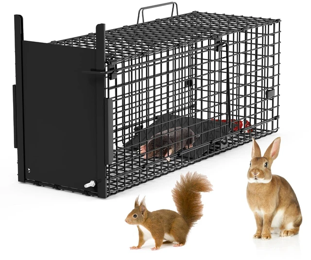 Main image of Fresh Fab Find 26in Single Door Live Animal Cage Trap For Animals Under 5LBS Easy To Setup Humane Galvanized Iron Trap Cage For Small Cats Rabbits Squirrels Moles Ch - Black