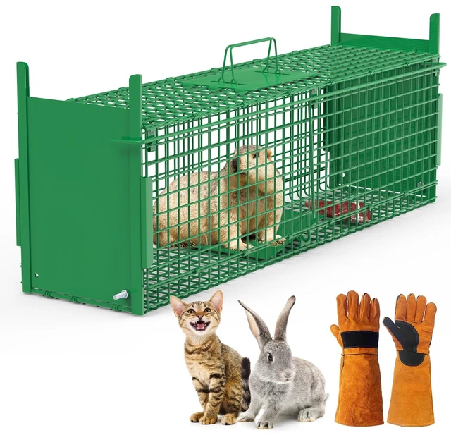Main image of Fresh Fab Find 32in 2 Door Live Animal Cage Trap For Animals Under 12LBS Easy To Setup Humane Galvanized Iron Trap Cage For Rabbits Groundhogs Skunk Opossums Nutria - Green