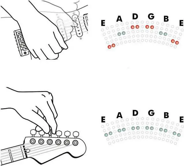 Alt view image 6 of 6 - POLYTUNE 3 Ultra-Compact Polyphonic Tuner with Multiple Tuning Modes and Built-In BONAFIDE BUFFER