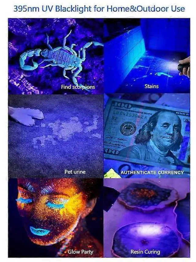 Alt view image 3 of 5 - Ecocleanpath 1200 Lumen UV LED Tactical Flashlight - Zoomable, Waterproof, 7 Modes for Pet Stain Detection & Camping