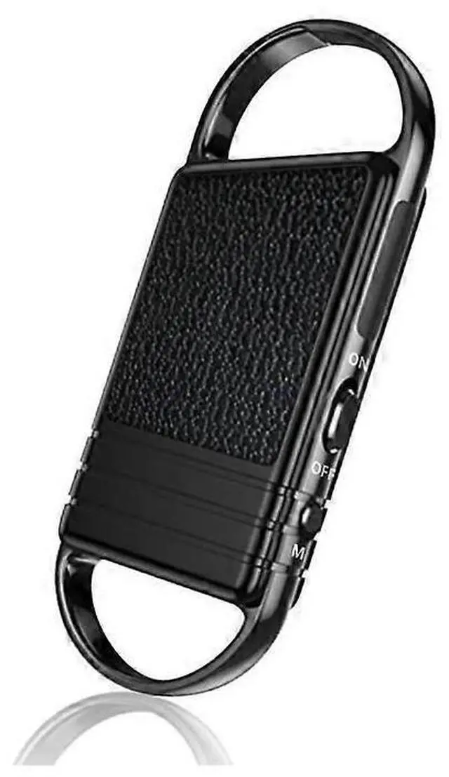 Main image of Ecocleanpath 16GB Voice Activated Recorder, Portable Keychain Recorder for Meetings, Lectures & Interviews (Black)