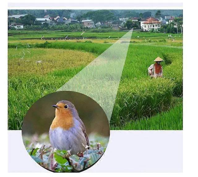 Alt view image 3 of 5 - Ecocleanpath 10-30x42 Zoom Monocular Telescope with Phone Holder & Tripod, Compact Portable for Outdoor & Sports