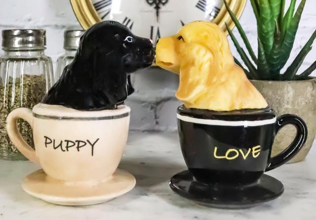 Ceramic Salt & Pepper Set Magnetic Dogs