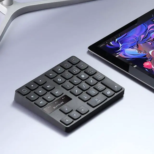 Main image of SurnQiee Bluetooth Keypad for iPad Procreate, Wireless Rechargeable Keyboard for Procreate, and Drawing Shortcuts for iPad and Graphic Tablets (Black)
