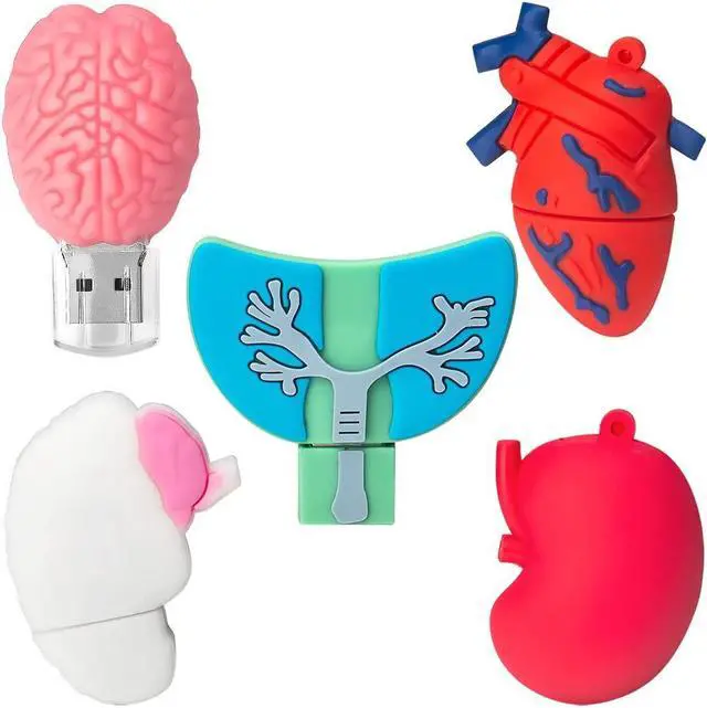 Main image of Leizhan 5 x 8GB Novelty USB Flash Drive, Body Organ Shape Thumb Drive USB Memory Stick Jump Drive Pendrive Gift for Kids, Family, Friends
