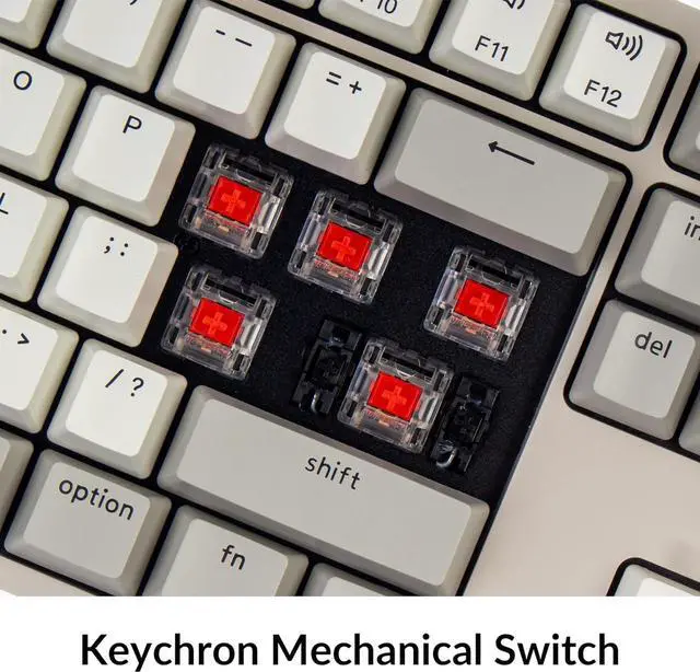 Alt view image 4 of 7 - Keychron C2 Full Size Wired Mechanical Keyboard Compatible with Mac, Keychron Red Switch, 104 Keys ABS Retro Color Keycaps Gaming Keyboard for Windows, USB-C Type-C Braid Cable