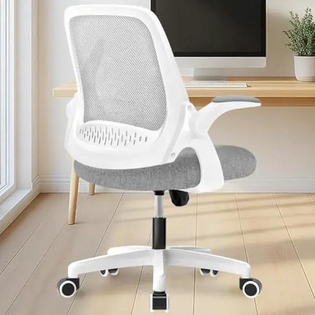 Main image of NEO CHAIR Office Desk Computer Gaming Ergonomic Chair with Lumbar Back Support Adjustable Height Swivel Wheels Flip-up Arms Mesh Chair for Home or Office (Grey)