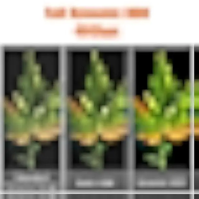 Alt view image 3 of 5 - 8K Fiber HDMI Cable 50ft, Fiber Optic HDMI 2.1 Cable 8K@60Hz,4K@120Hz 48Gbps, Dynamic HDR, eARC Compatible with RTX 3080/3090 Xbox Series X PS5 Denon AV Receiver LG Samsung Sony TV