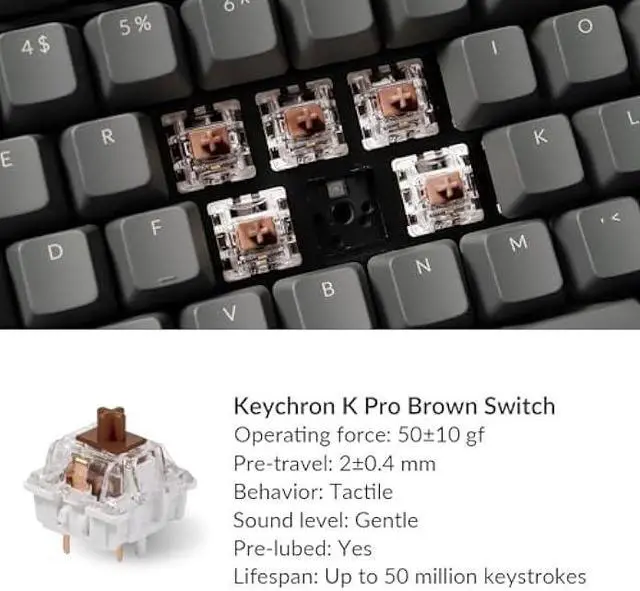 Alt view image 2 of 6 - Keychron K10 Full Size Layout RGB Backlit Hot-Swappable Mechanical Gaming Keyboard for Mac Windows, Multitasking 104-Key Bluetooth Wireless/USB Wired Computer Keyboard with Gateron G Pro Brown Switch