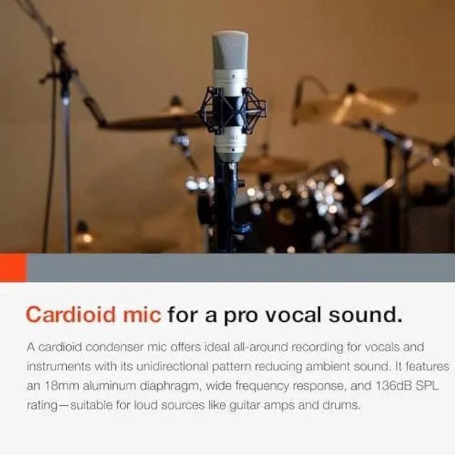 Alt view image 5 of 7 - Tascam TM-80 Large Diaphagm Condenser Microphone,Silver