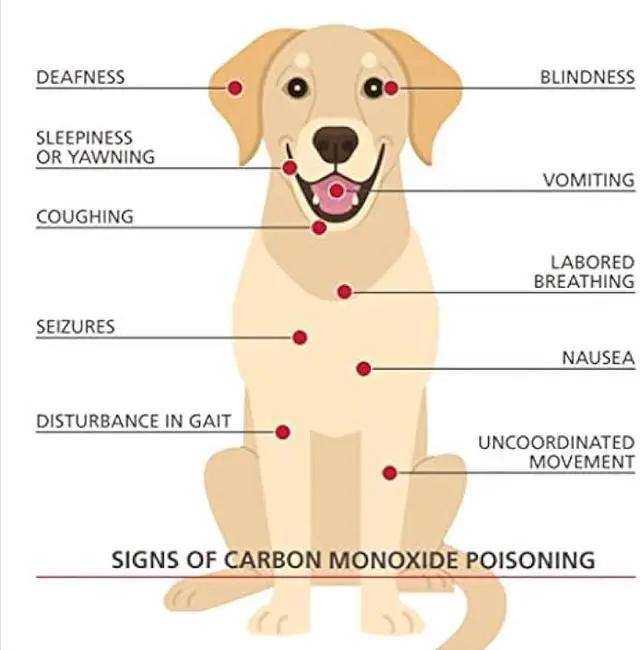 Alt view image 4 of 5 - Kidde Ultra-Sensitive Carbon Monoxide Detector for Pets, Health, or Medical Conditions, Battery Powered with Digital Display, UNIT
