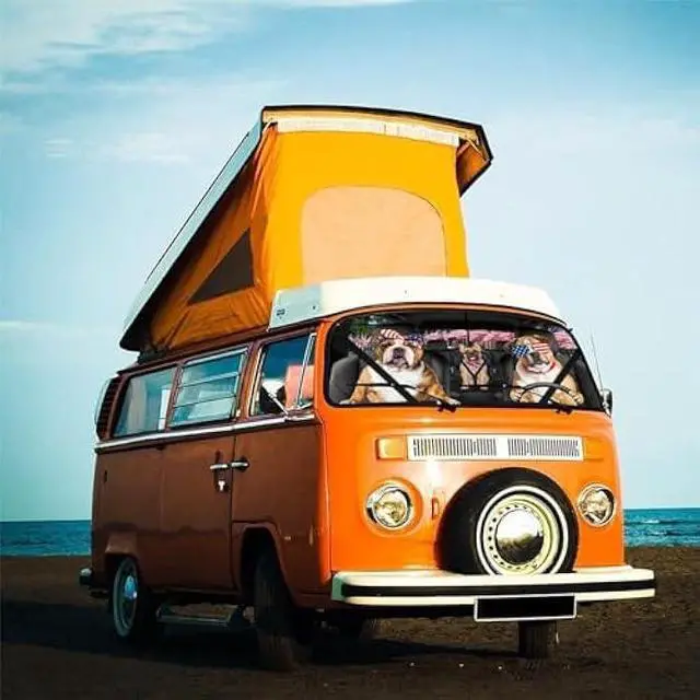 Alt view image 4 of 7 - American Flag Car Windshield Sun Shade Umbrella Bendable Handle Foldable Funny Bulldog Sunshade for Car Windshield Block UV Rays Keep Vehicle Cool for Most Sedans SUV Trucks Cars 57x30