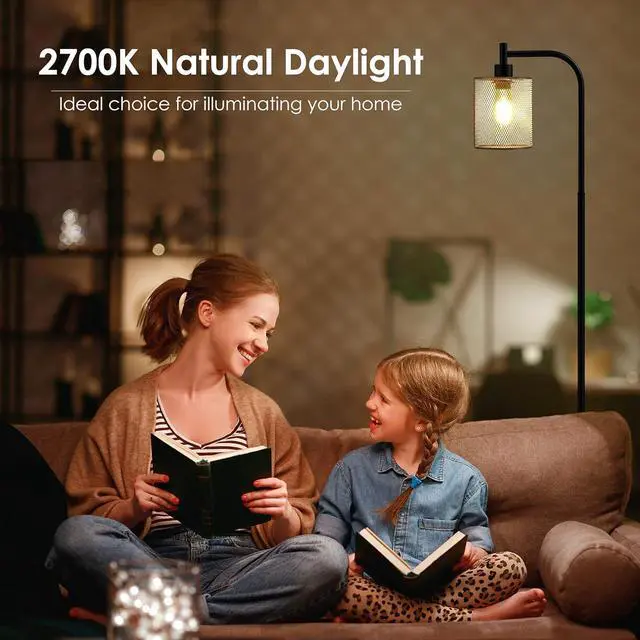 Alt view image 2 of 6 - BoostArea Industrial Floor Lamp, Standing Lamp with Hanging Iron Mesh Lamp Shade, 6W LED Bulb, Whole Metal Farmhouse Floor Lamp with Foot Switch, Rustic Floor Lamps for Living Room Bedroom, Black