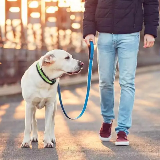 Alt view image 4 of 7 - Solar & USB Rechargeable LED Lighting Dog Collar for Outdoor Safety Medium Green