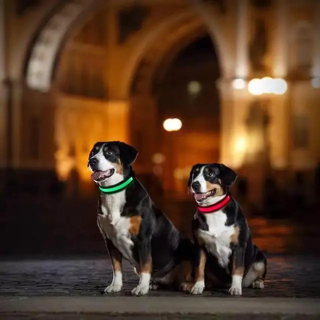 Alt view image 3 of 7 - Solar & USB Rechargeable LED Lighting Dog Collar for Outdoor Safety Medium Green