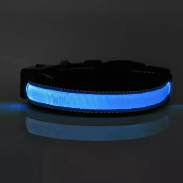 Main image of Solar & USB Rechargeable LED Lighting Dog Collar for Outdoor Safety Medium Blue
