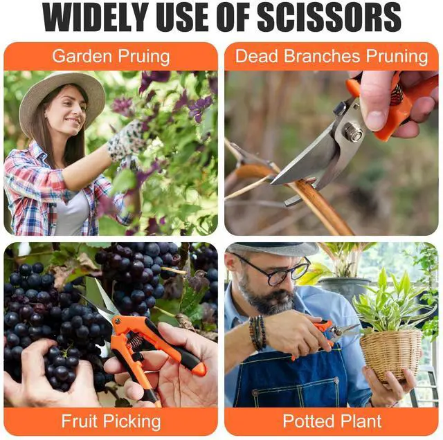 Alt view image 6 of 6 - 3 Pcs Garden Pruning Shears, Stainless Steel Gardening Scissors | Lightweight design, ideal for extended periods of fruit picking, garden pruning, flower care, and trimming small plants