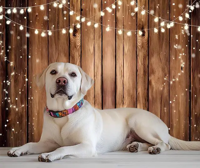 Alt view image 6 of 7 - Wood Photo Backdrop for Photoshoot 7x5ft Brown Rustic Wood Photography Backdrops Birthday Newborn Party Wooden Background Decorations Banner Photo Props Polyester Fabric