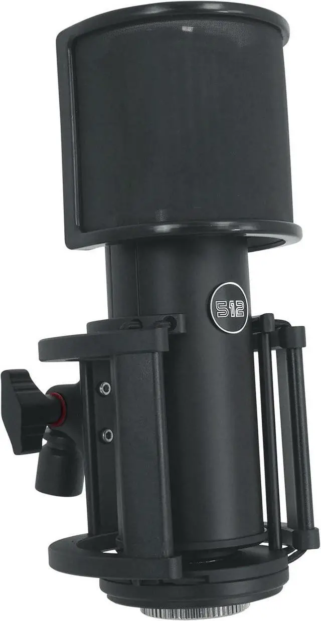 Main image of by Warm Audio Skylight Large Diaphragm Studio Condenser XLR Microphone + Shock Mount + Bag for Recording and Podcasting