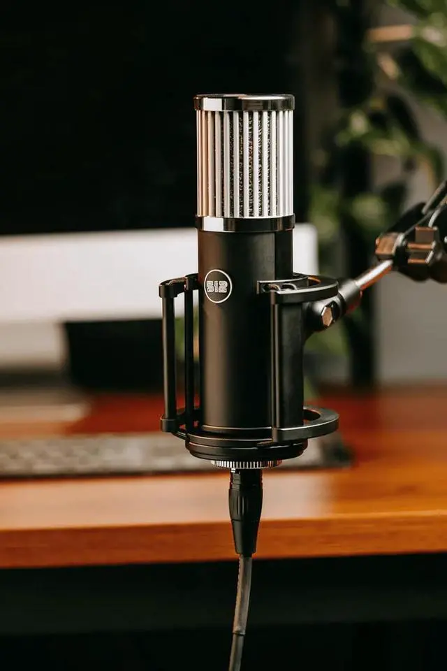 Alt view image 4 of 7 - by Warm Audio Skylight Large Diaphragm Studio Condenser XLR Microphone + Shock Mount + Bag for Recording and Podcasting