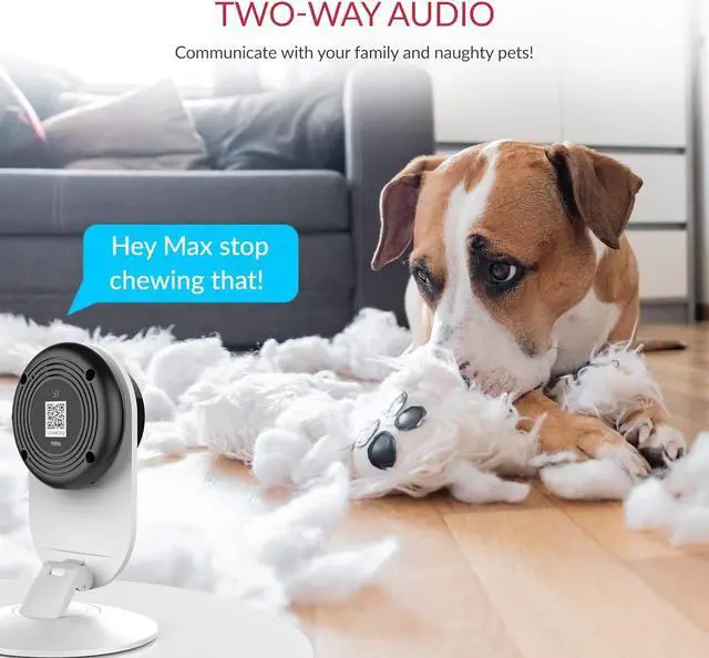 Alt view image 4 of 7 - YI Pro 2K 3PC Home Security Camera, 2.4GHz Indoor Cameras for Home Security with Person, Vehicle, Animal Smart Detection, Phone App for Baby, Pet, Dog Monitoring, Works with Alexa and Google Assistant