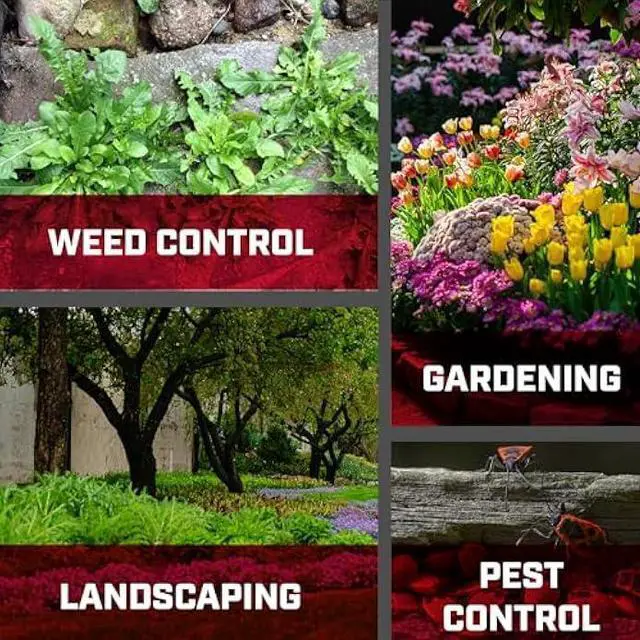 Alt view image 5 of 5 - Chapin International 22541, Value Pack, 2-Pack, 1 Gallon Sprayer, 2 Pack, Translucent White