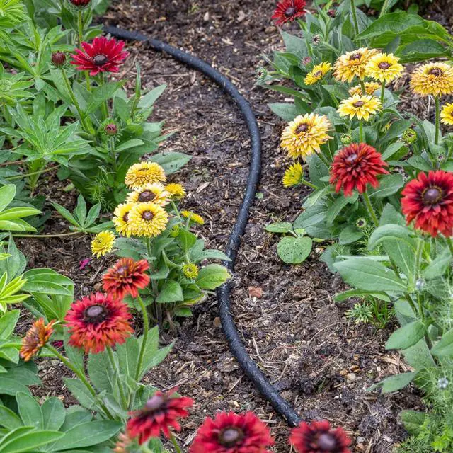 Alt view image 2 of 6 - STYDDI Soaker Hose, 1/2" x 75 FT Round Rubber Garden Soaker Hose, Heavy Duty Water Seeper Soaker Hoses for Foundation Watering, Garden Beds, Garden, Lawn and Plants