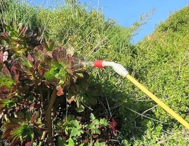 Alt view image 5 of 6 - TABOR TOOLS 1.3 Gallon sparayer for Lawn and Garden. Pump Pressure with Pressure Relief Valve, Adjustable Shoulder Strap, and Adjustable Wand Nozzle. N50A