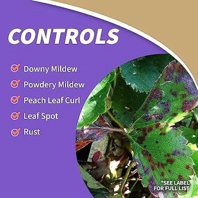 Alt view image 3 of 5 - Bonide Captain Jack's Copper Fungicide, 16 oz Ready-to-Spray Disease Control for Organic Gardening, Controls Mildew & Blight